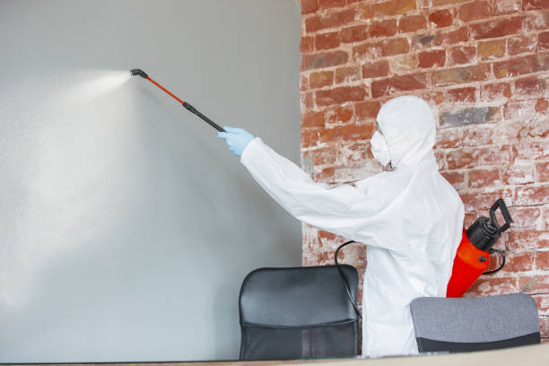 New Market, TN Mold Removal Company