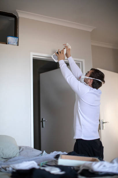 Best Emergency Mold Remediation  in New Market, TN